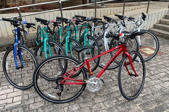 MTB, Hybrid or Gravel Road Bike Rental in Okutama, Tokyo - Customer Reviews and Ratings