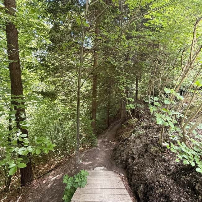 Mtb tours Innsbruck (experience the most beautiful trails in Innsbruck) - FAQ