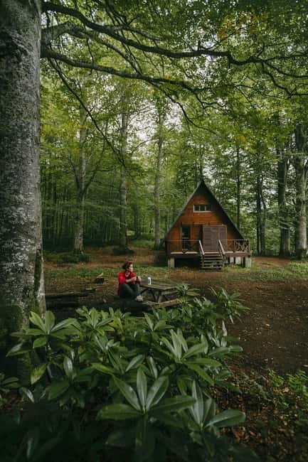 Mtirala National Park 2-Day Guided Hiking Tour from Kutaisi - The Journey Begins: From Kutaisi to the Heart of Nature