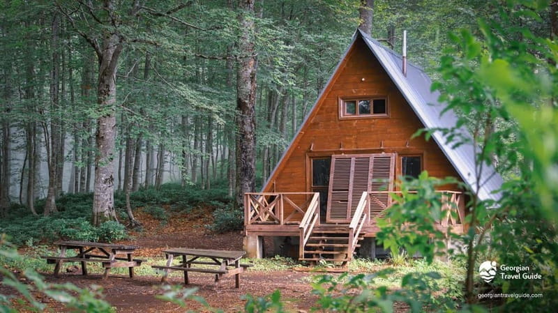 Mtirala National Park 2-Day Guided Hiking Tour from Kutaisi - Hike Through one of Europe’s Most Humid Forests