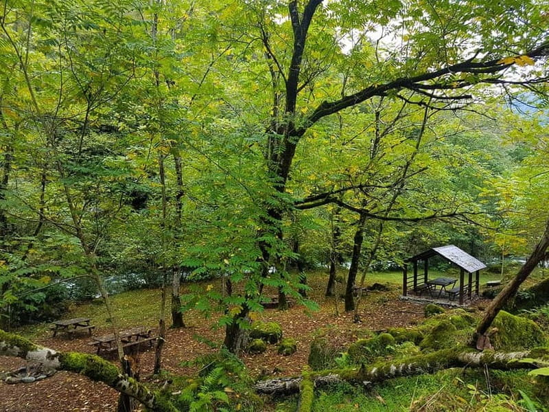 Mtirala National Park 2-Day Guided Hiking Tour from Kutaisi - Overnight in the Tourist Shelter