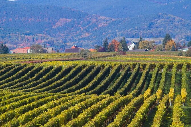 Mtskheta - Jvari Private Tour / UNESCO Sites - FAQ