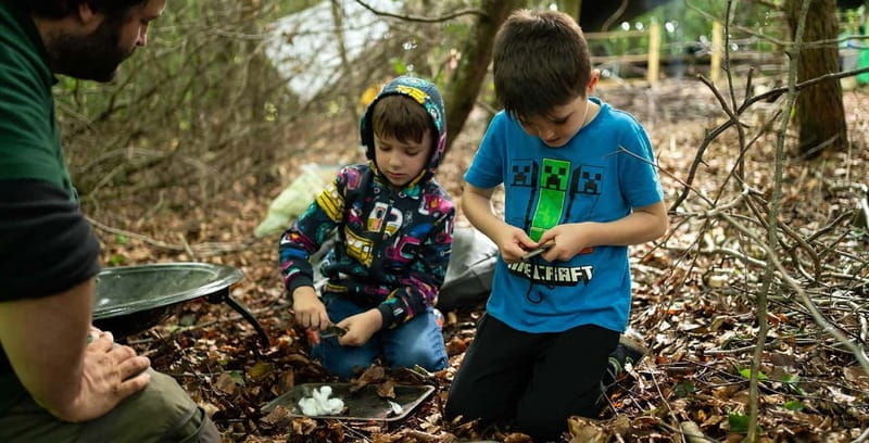 Muddy Tots Go Wild Forest School - Ballynahinch Co. Down - A Deep Dive into the Experience: What to Expect at Muddy Tots Go Wild Forest School
