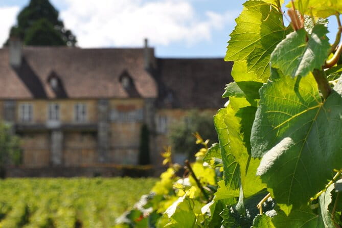 Multi Day Private Tour Prestige Burgundy with 12 Premiers & Grands Crus - An In-Depth Look at Burgundy’s Hidden Treasures