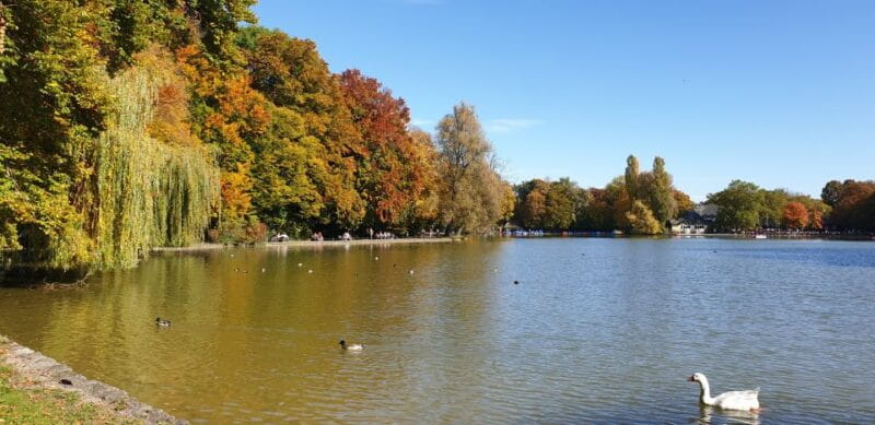 Munich: City Highlights Guided Segway Tour - Key Points / Takeaways