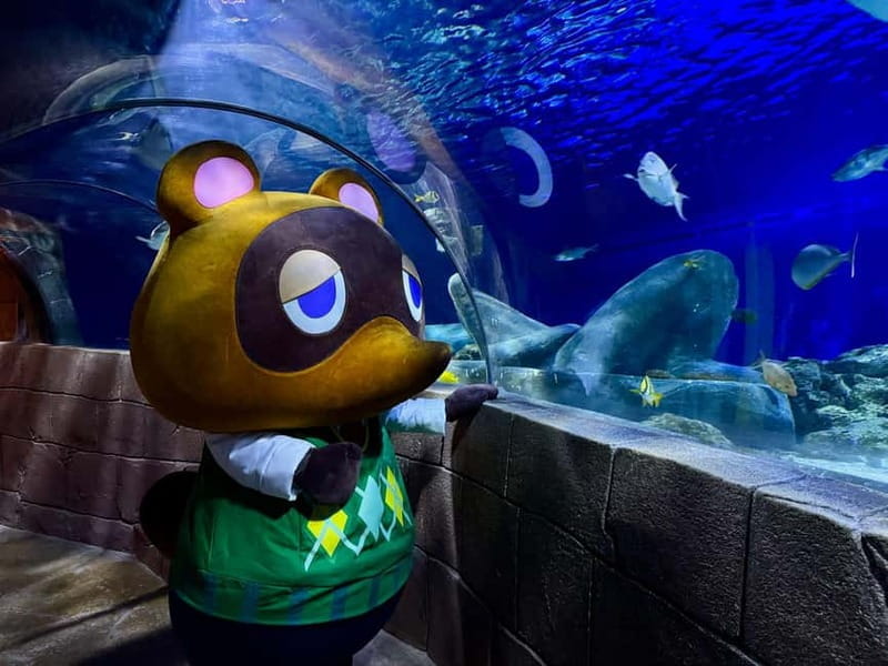 Munich: Day Ticket to Sea Life - Key points / Takeaways