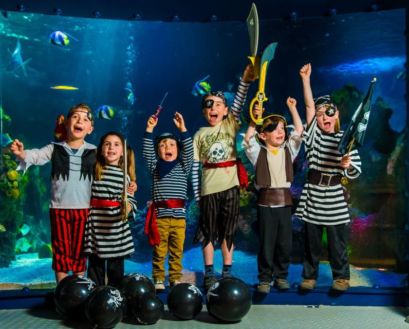 Munich: Day Ticket to Sea Life - Highlights of the Aquarium Experience