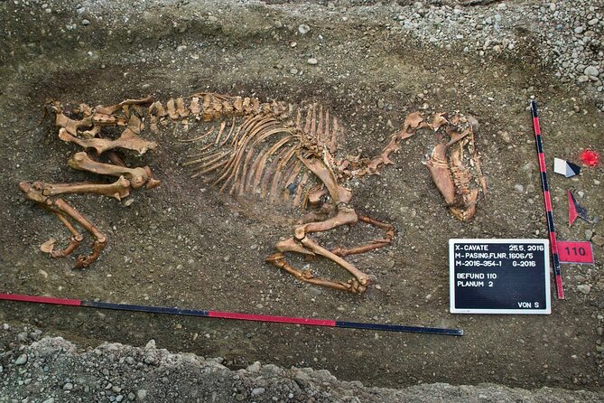 Munich Macabre Group Walking Tour - Accessibility and Suitability