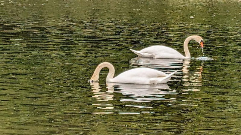 Munich: Nymphenburg Palace Guided Tour with an Architect - Price, Value, and Practical Tips