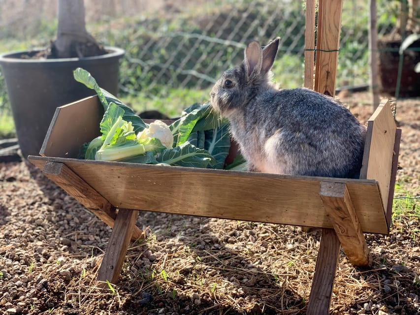 Murcia, Astronomy Night in Finca Astronomica - Key Points