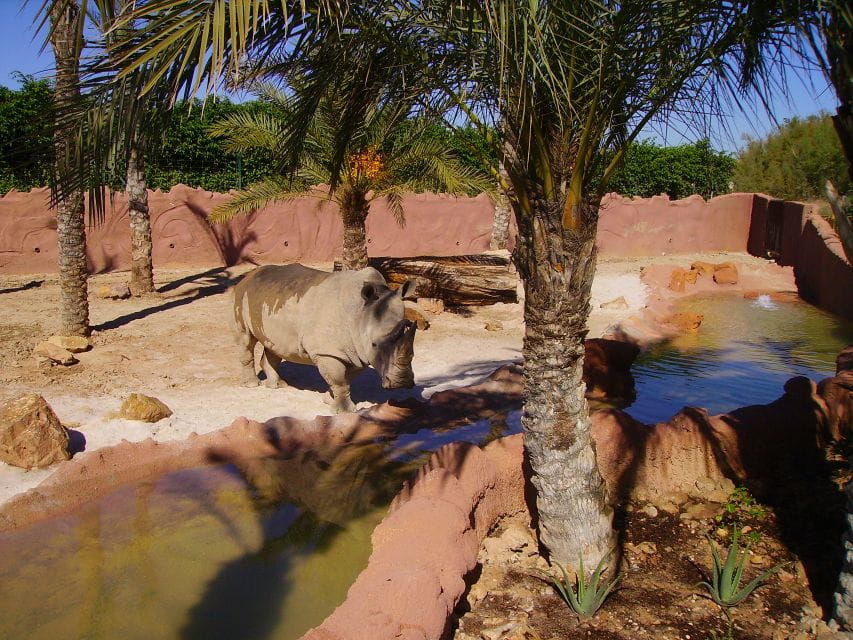 Murcia: Terra Natura Murcia Ticket Entry - Accessibility and Amenities