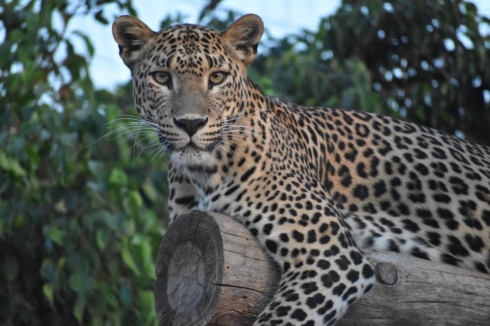 Murcia: Terra Natura Murcia Ticket Entry - Customer Feedback Highlights