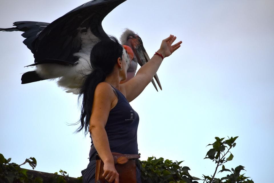 Murcia: Terra Natura Murcia Ticket Entry - Tips for a Great Visit