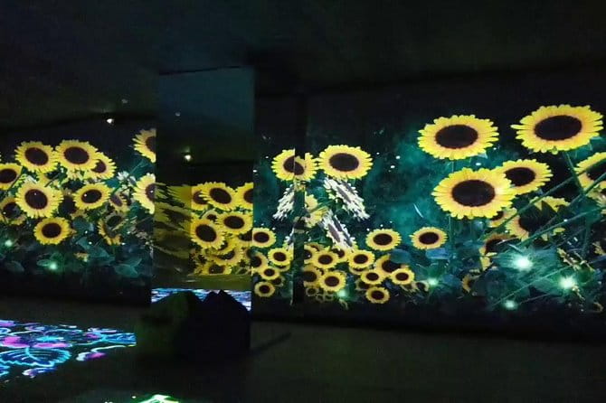 Museum of illusions,Digital Space and Ethnography in Tbilisi - Key points / Takeaways