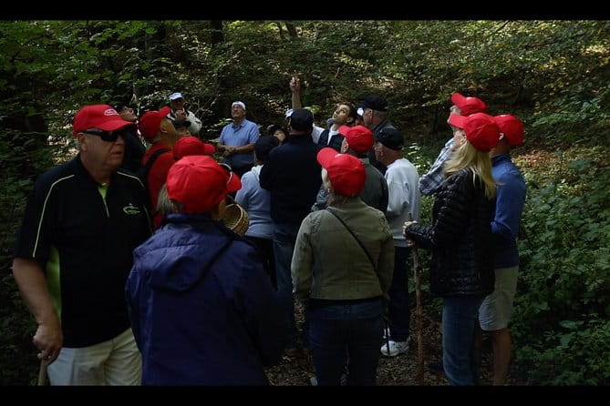 Mushroom or Truffle Hunting - The Scenic Setting: Lake Como in Its Glory