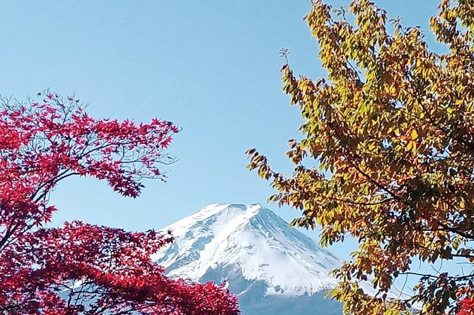 Muslim Friendly Mount Fuji Tour With English Speaking Chauffeur - Booking Information and Pricing
