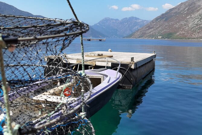Mussel & Oyster Farm with Perast visitation Private Tour - Who Would This Tour Suit Best?