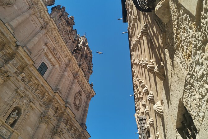 Must See Salamanca Walking Tour (Could Be Billingual) - Visit the Anaya Palace