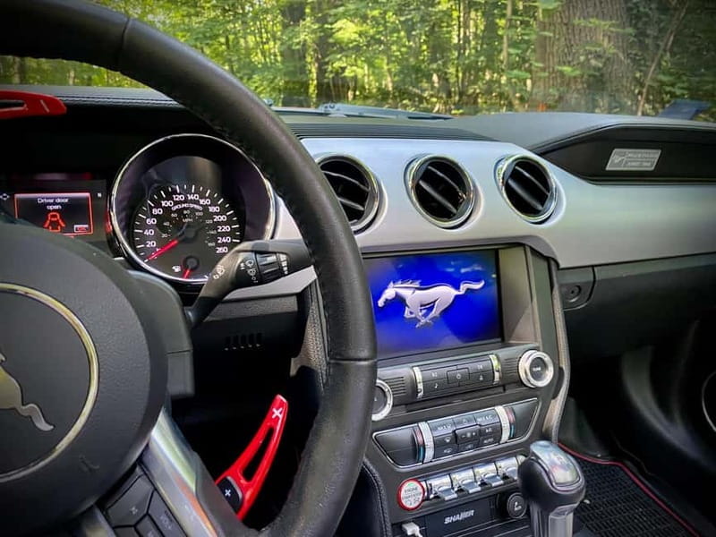 Mustang Paris Tours - Final Thoughts