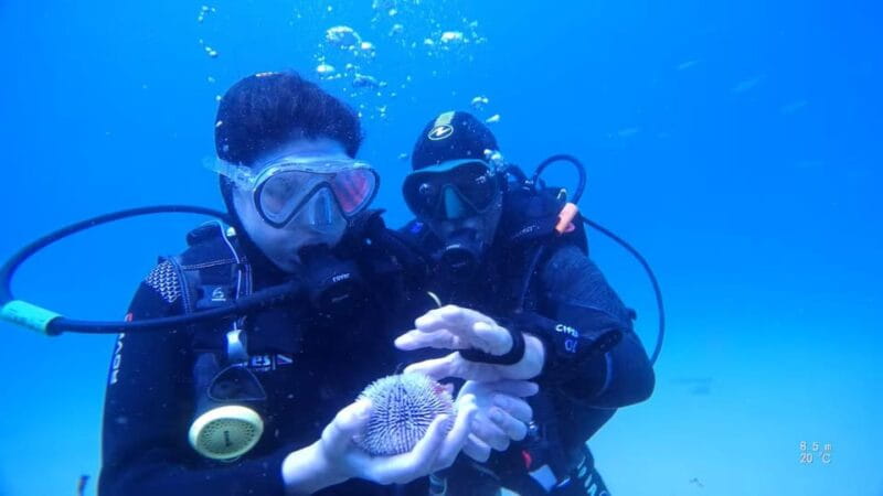My first scuba dive in the Ocean from Madeira - The Value of a First Ocean Dive in Madeira