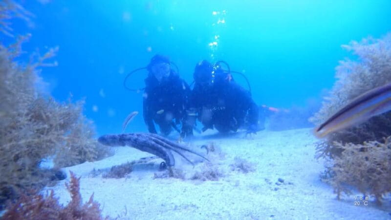 My first scuba dive in the Ocean from Madeira - FAQs