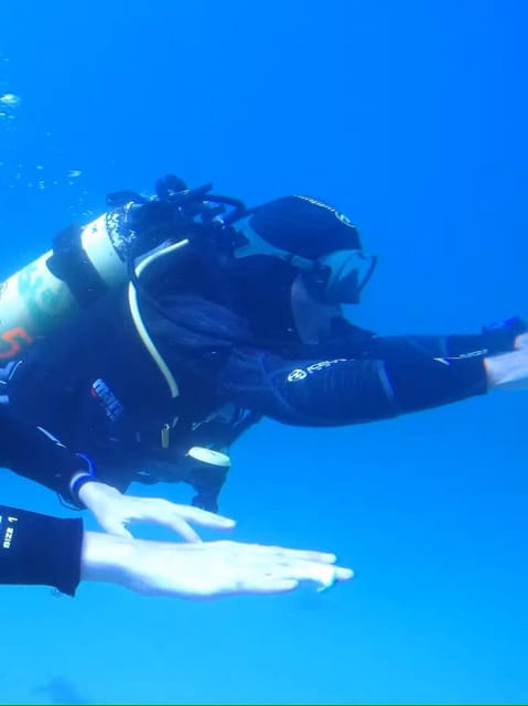 My first scuba dive into the Ocean from Sao Miguel - Exploring the first-time scuba experience from São Miguel