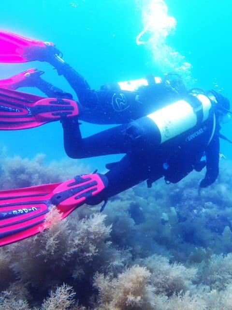 My first scuba dive into the Ocean from Sao Miguel - Why choose this experience in São Miguel?