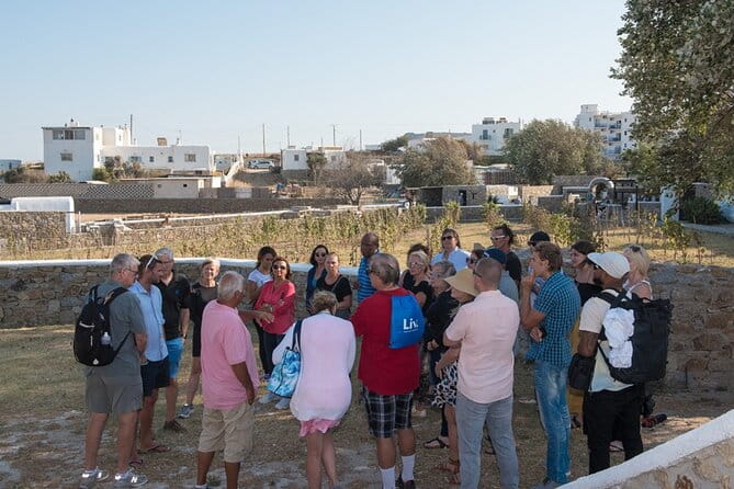 Mykonian Farm Entrance Ticket - Entering the Heart of Mykonos’ Farming Revival