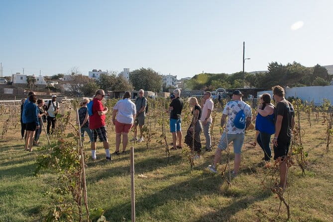 Mykonian Farm Entrance Ticket - Price and Logistics: Good Value for Genuine Experience