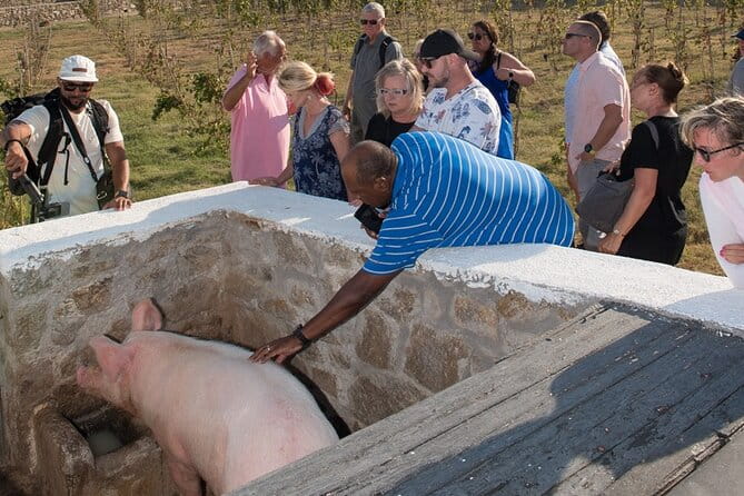 Mykonian Farm Entrance Ticket - FAQs