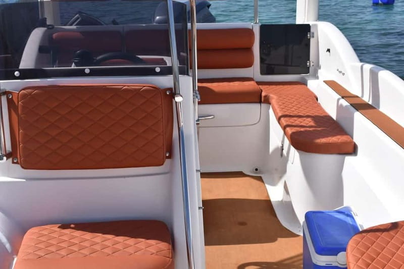 Mykonos: 3 hour Private Boat Cruise to South Coast Beaches - Who Should Consider This Experience?