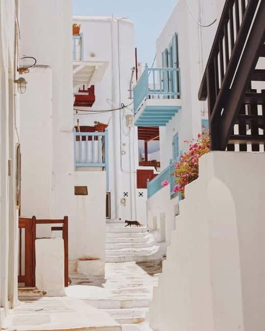 Mykonos Cruise Passenger Exclusive Jeep Tour: Must See in 4h - Price and Value