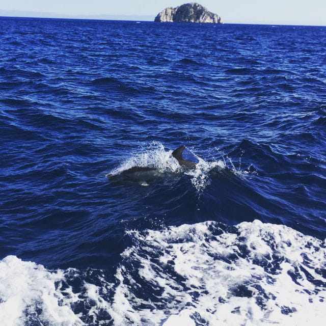 Mykonos: Delos and Rhenia Islands Cruise With BBQ Meal - Included Amenities