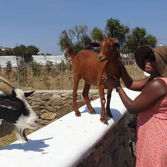 Mykonos: Farm, Ano Mera Village, and Beaches Guided Tour - Carefully Curated Itinerary: What Each Stop Means for You