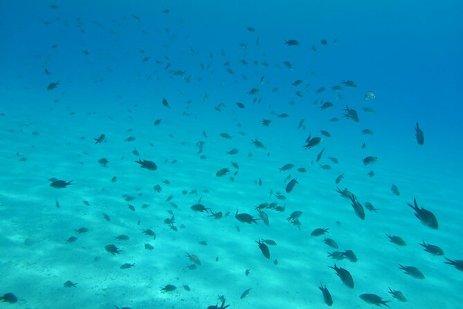 Mykonos Half-Day Hiking Adventure - Discovering Lesser-Known Areas