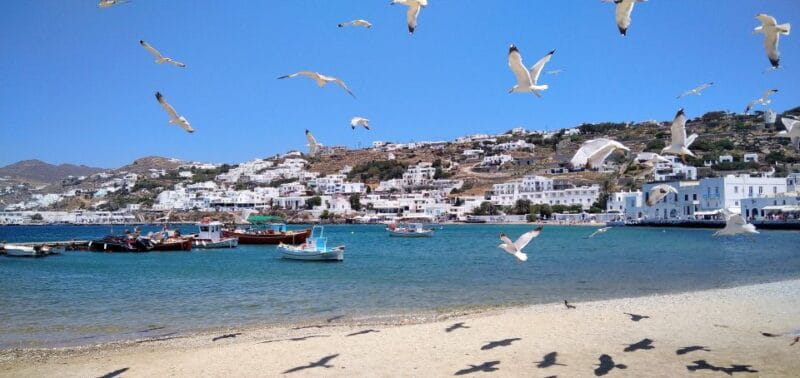 Mykonos: Highlights Tour with Panagia Tourliani Monastery - Price, Logistics, and Overall Value