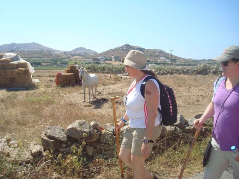 Mykonos Hiking Adventure - Who Should Consider This Tour?