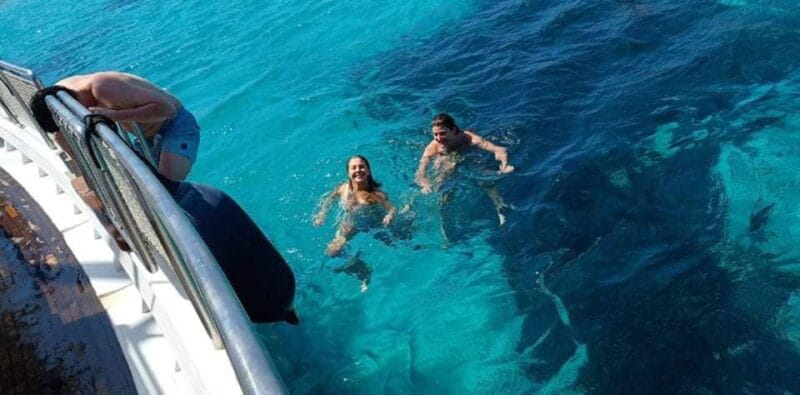 Mykonos: Little Venice and Agios Stefanos Cruise with Lunch - Key Points / Takeaways