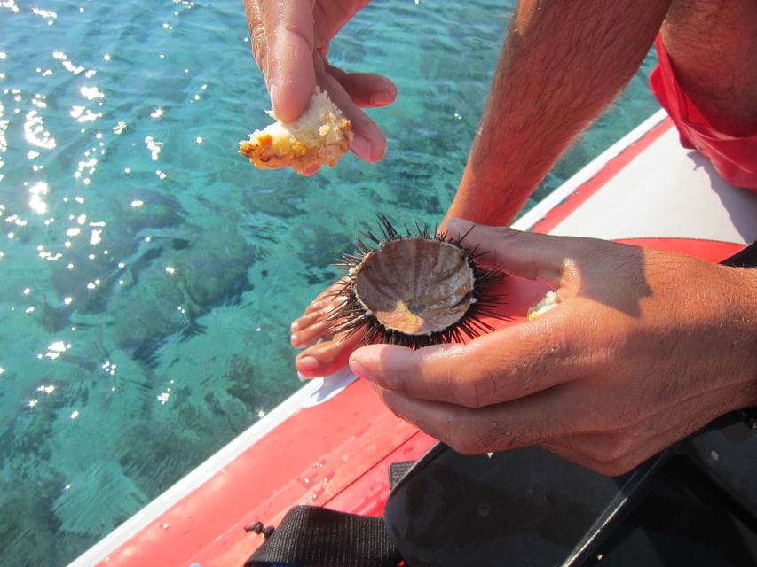 Mykonos: Private Boat Trip and Snorkeling Sea Safari - Pricing and Booking