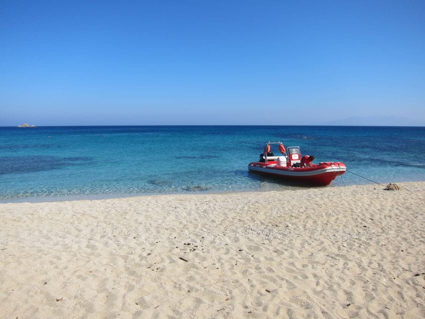 Mykonos: Private Boat Trip and Snorkeling Sea Safari - Customer Feedback