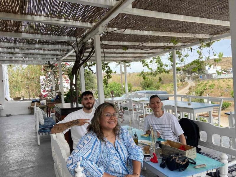 Mykonos: Private Island Tour - Price and Logistics: What Your Money Gets You