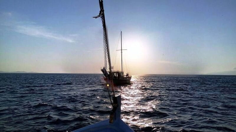 Mykonos: Sunset Boat Trip with Snacks and Drinks - An In-Depth Look at the Experience