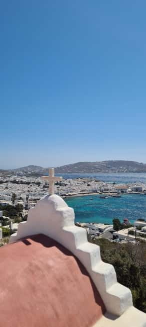 Mykonos tour: Private highlights Tour with a Local - Price and Logistics