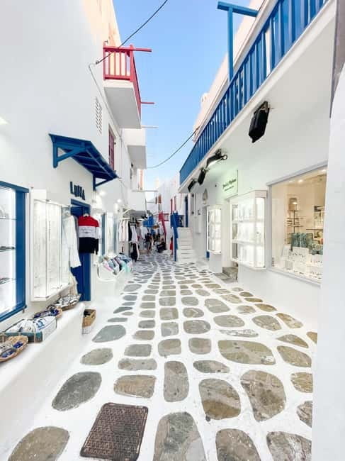 Mykonos tour: Private highlights Tour with a Local - Practical Tips for Your Mykonos Tour