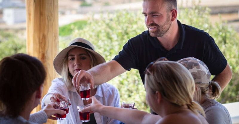 Mykonos: Winery Vineyard Experience with Food & Wine Tasting - Discovering the Vineyard and Olive Groves