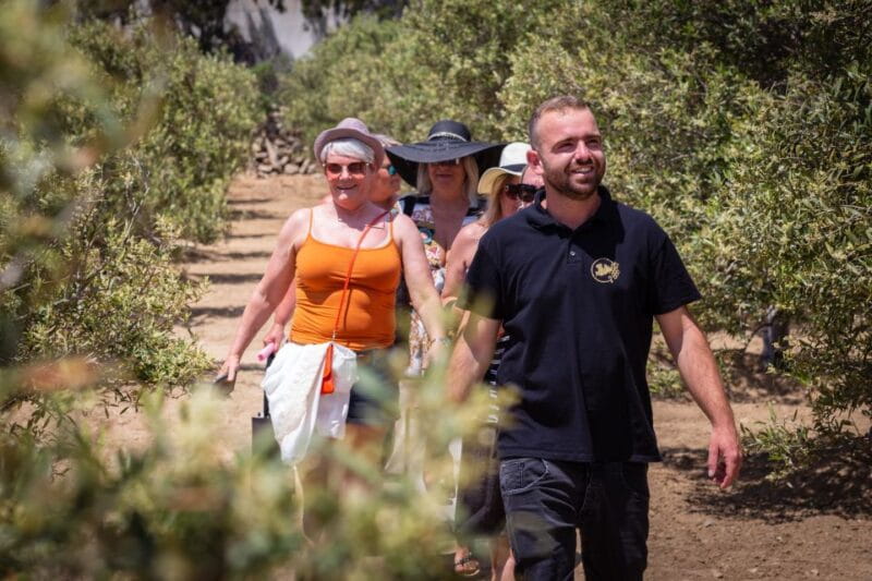 Mykonos: Winery Vineyard Experience with Food & Wine Tasting - FAQs about the Mykonos Winery Experience