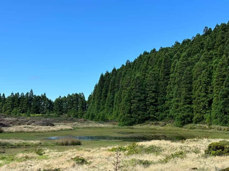 Mystery Tour of Terceira Island - Key points / Takeaways