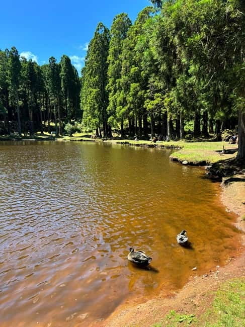 Mystery Tour of Terceira Island - Final Thoughts