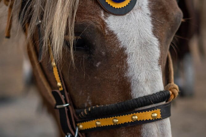 Mystical Sunset Horseback Ride in Meteora: 1-Hour Adventure - Who Will Love This?