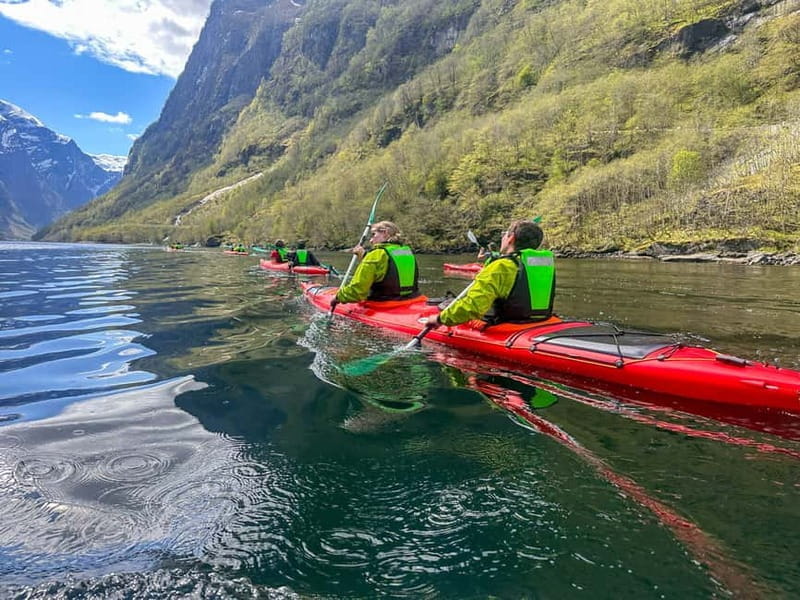 Nærøyfjord Full-Day Guided Kayaking Trip - Key Points / Takeaways